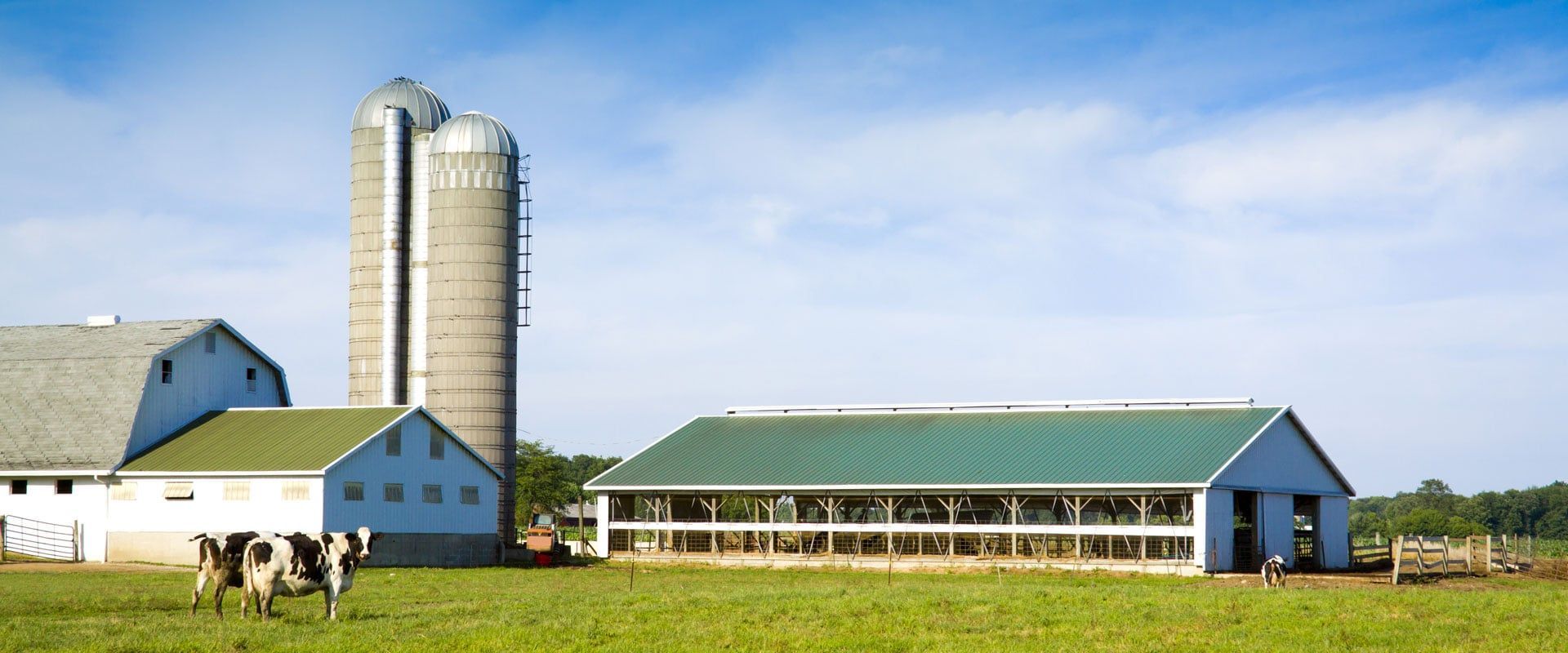 Агропромышленный комплекс